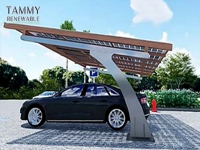 Kaip išmanieji platintojai mažina saulės energijos automobilių stogo inventorių